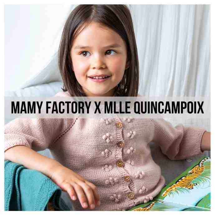 modele tricot pdf kit pull Louise pour femme en laine mohair
